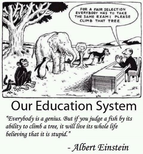 "Everybody is a genius..." Albert Einstein quote